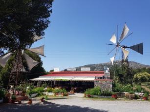 20180607-150440-largejpg.jpg